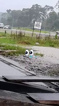 Personas recogen las bananas que los exportadores tiraron en la carretera como protesta a los bloqueos