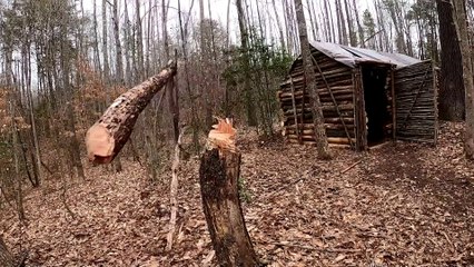 Building Log Cabin By Hand - 9 Days Winter Camping with 3 yr Old in Bushcraft Primitive Shelter