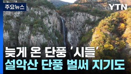 설악산은 끝물, 한라산은 지각...단풍 명소 고민 / YTN