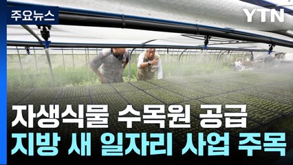 '자생식물' 키워 수목원으로...지방소멸 대응 해법될까 / YTN