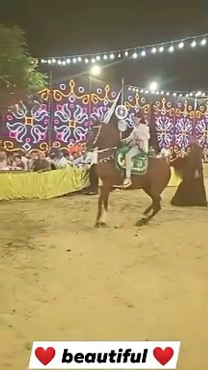 Horse dance,,,