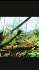 Hollywood -_ Action_ Of The _World __ Movie.#shorts #ytshorts