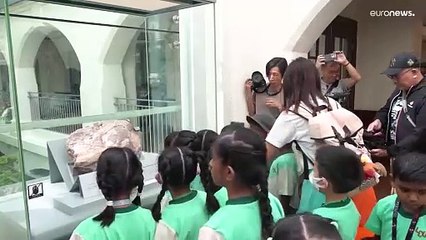 هونغ كونغ تعرض حفريات ديناصور ضخم من العصر الطباشيري أمام الجمهور