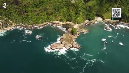 Best Pop Songs of 2024 🎶 Discover the Hottest New Releases!