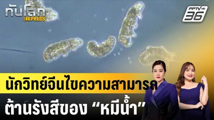 นักวิทย์จีนไขความสามารถต้านรังสีของ “หมีน้ำ” |ทันโลก EXPRESS |  27 ต.ค. 67