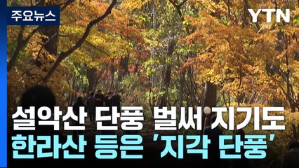 설악산은 끝물·한라산은 지각...단풍 명소 고민 / YTN