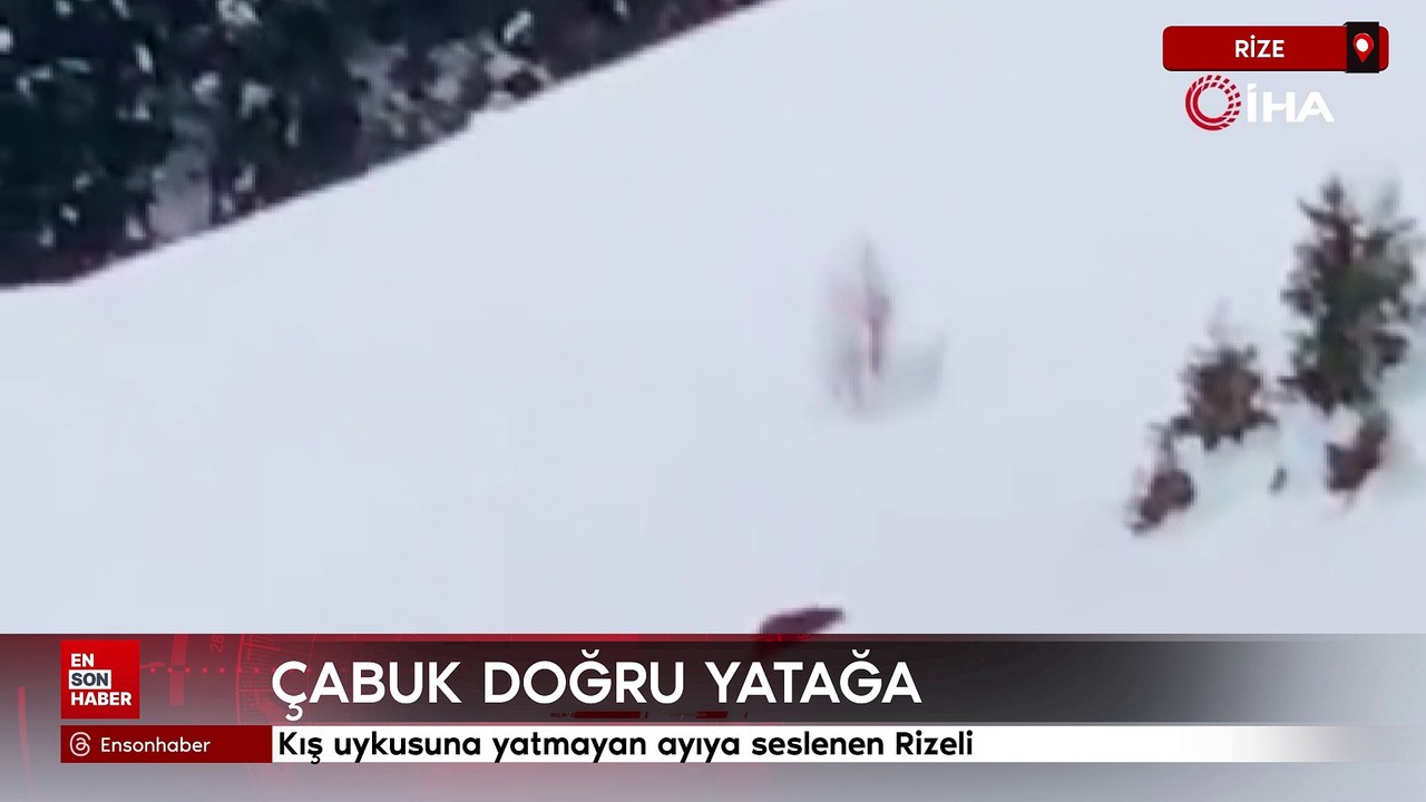 Kış uykusuna yatmayan ayıya seslenen Rizeli: Çabuk doğru yatağa