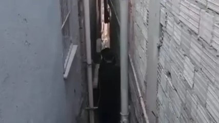 Firari hükümlü, polisten kaçmak için girdiği aydınlatma boşluğunda yakalandı