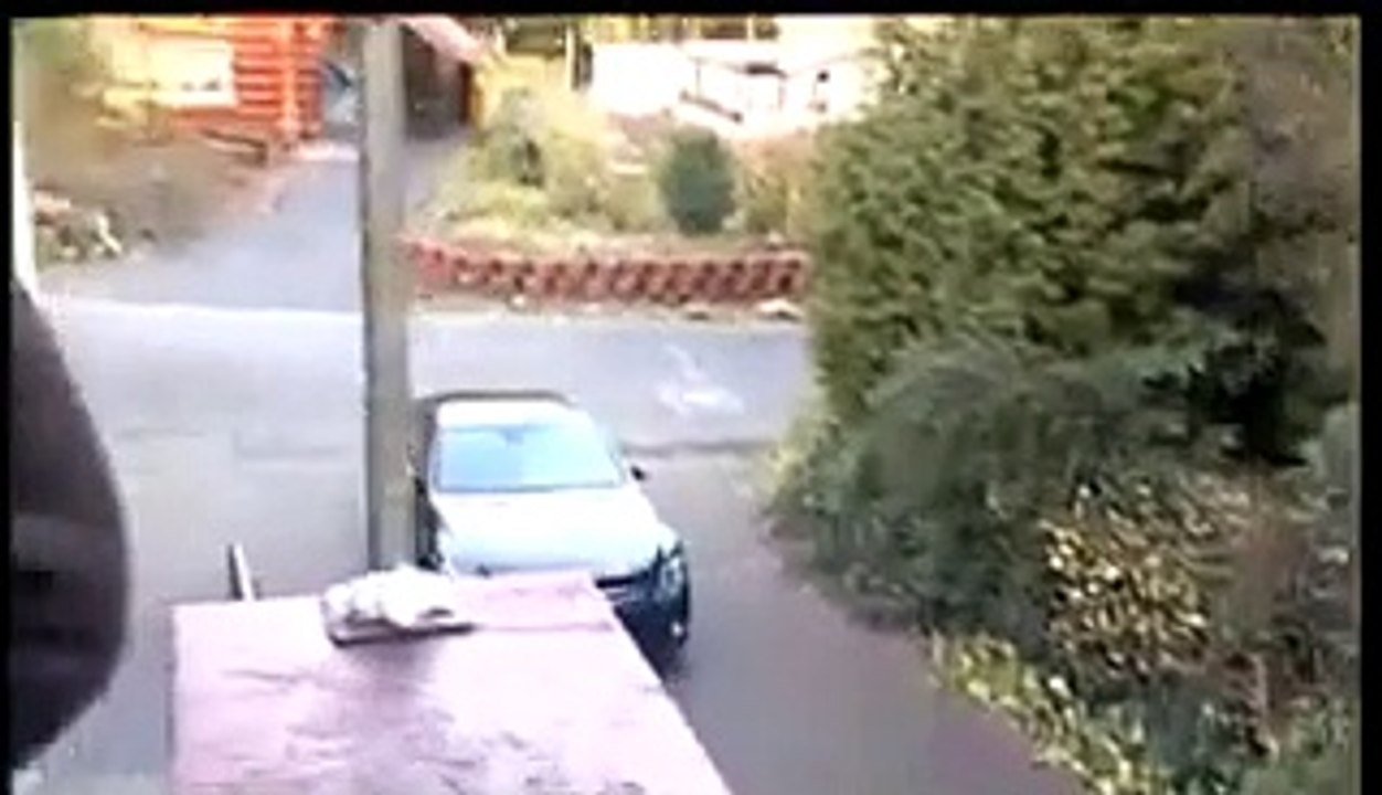 Bushido und Kay One bei den Ludolfs