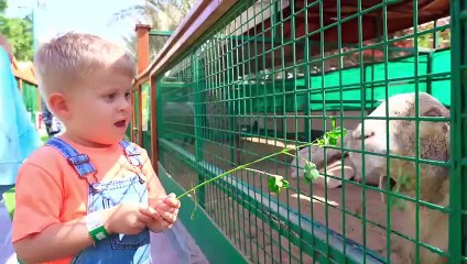 Oliver takes care of the Animals at the Pet Hotel