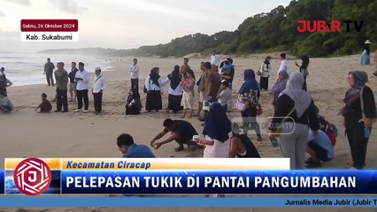 Pelepasan Tukik di Pantai Pangumbahan Buat Pengunjung Kagum