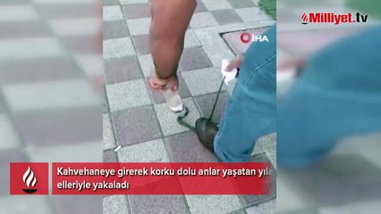 Kahvehaneye giren yılanı elleriyle yakaladı