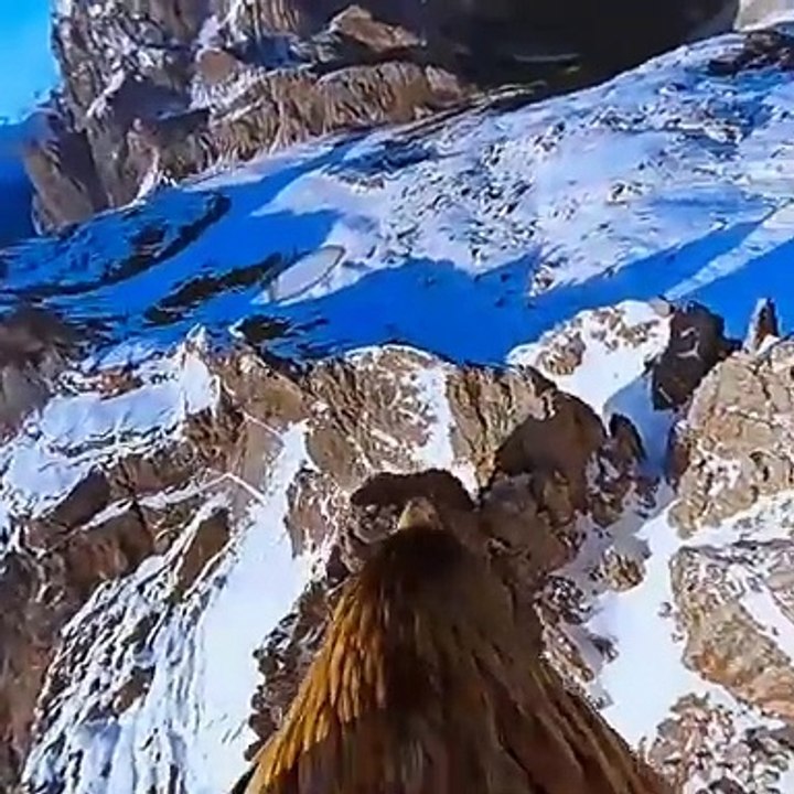 The Eagle's Point of View YouTube VR