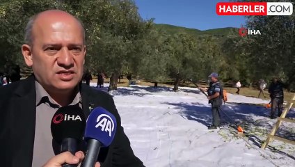 Zeytinyağı Pahalı Olmayı Hak Ediyor