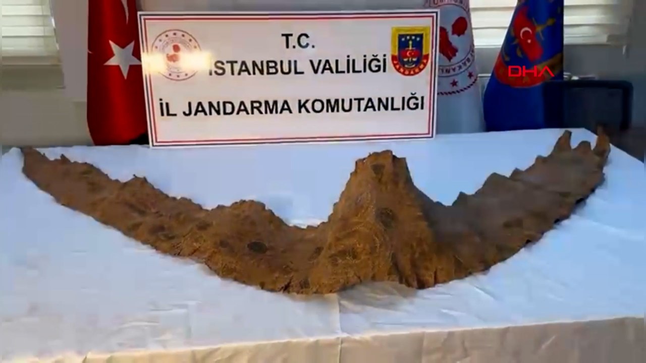 Eyüpsultan'da tarihi eser operasyonu: 2 Bin yıllık piton derili yazma ele geçirildi