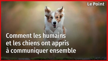 Comment les humains et les chiens ont appris à communiquer ensemble