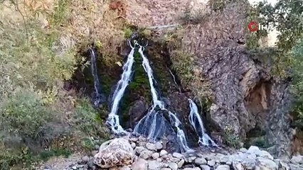 9 yaşında ekmeğinin peşinde! Sevimli halleri gülümsetti