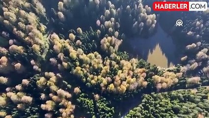 Düzce'deki Torkul Göleti'nin Sonbahar Güzellikleri