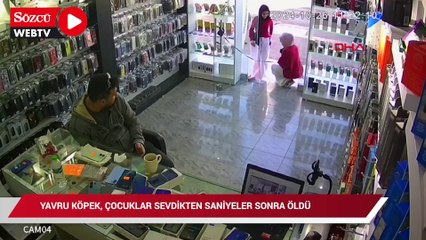 Garip olay: Yavru köpek, sevildikten saniyeler sonra öldü