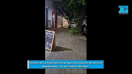 Vecinos de La Plata denuncian que una estación de servicio abandonada, "es un criadero de ratas"