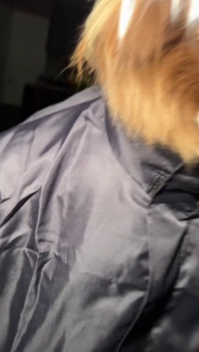 Gojo when he sees geto