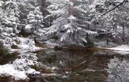 Soria ya se tiñe de blanco con nieve en Urbión