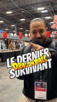 Le dernier survivant ! Version Dragon Ball ! #manga #anime #dragonball #DBZ #Goku #Vegeta #otaku #Quiz