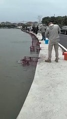 Çin'de oltasını atan bir adam, anında balık yakaladı!