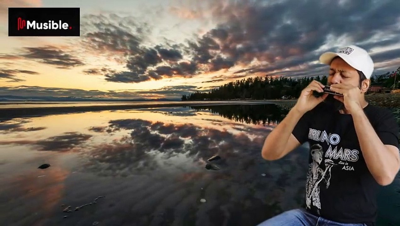 Bruno Mars - Grenade ( Harmonica Cover)  @brunomars  #brunomars #harmonica #brunomarsmusic #dailymotionvideo