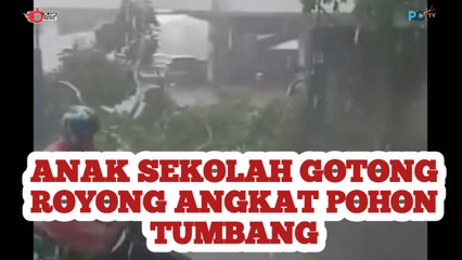 Anak Sekolah Gotong Royong Angkat Pohon Tumbang
