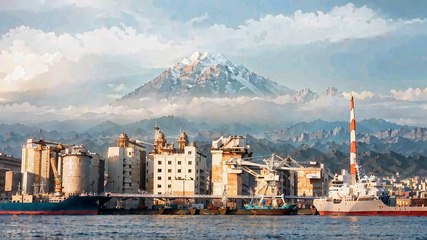 Climat en péril : des jeunes Japonais poursuivent les géants de l'électricité