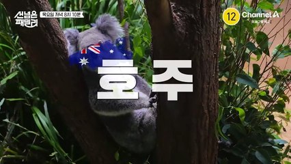 [예고] "하루 빨리 만나면 얼마나 좋아!" 모두 만나는 그 날까지! 목요일 저녁 8시 10분에 만나요