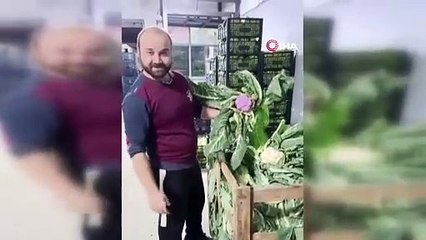 Mor karnabahar herkesi şaşırttı! Bandırma Meyve Sebze Hali'nde nadir bir olay yaşandı