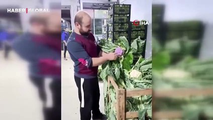 Bandırma halinde mor karnabaharı gören bir daha baktı