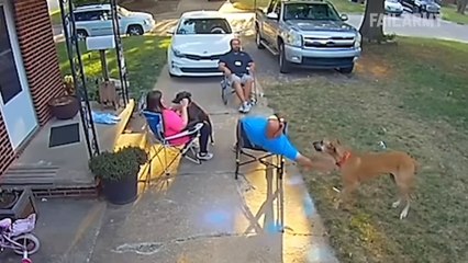 Top Fails of the Week | Unbelievable and Hilarious Moments!