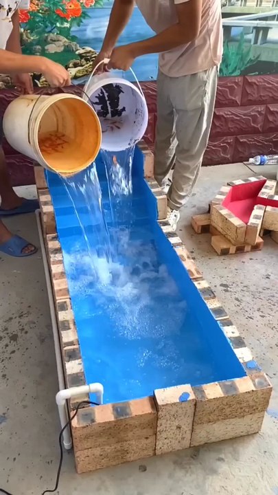 Hand Build Aquarium