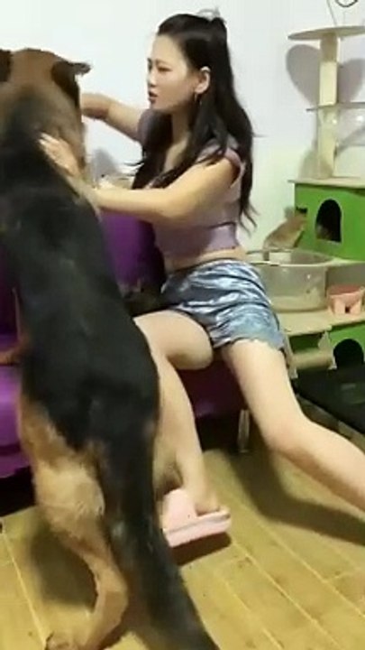 just imagine this dog _funny _smart pets _funny pets _funny animals _funny_animal _shorts