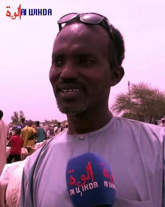 #Tchad : le mouton est hors de prix dans certains marchés à bétail, à l’approche de la Tabaski.