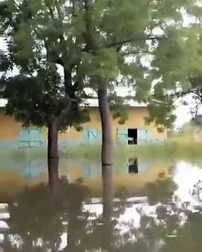 Inondations : Le quartier Kabé, situé dans le 9e arrondissement de la ville de N’Djamena, est complètement submergé par les eaux du fleuve Logone. La population est contrainte de quitter la zone et d’attendre le retrait des eaux. #Tchad