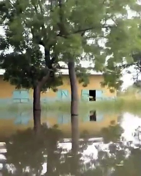 Inondations : Le quartier Kabé, situé dans le 9e arrondissement de la ville de N’Djamena, est complètement submergé par les eaux du fleuve Logone. La population est contrainte de quitter la zone et d’attendre le retrait des eaux. #Tchad