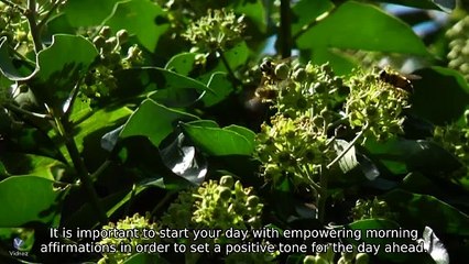 Morning Affirmations for Success