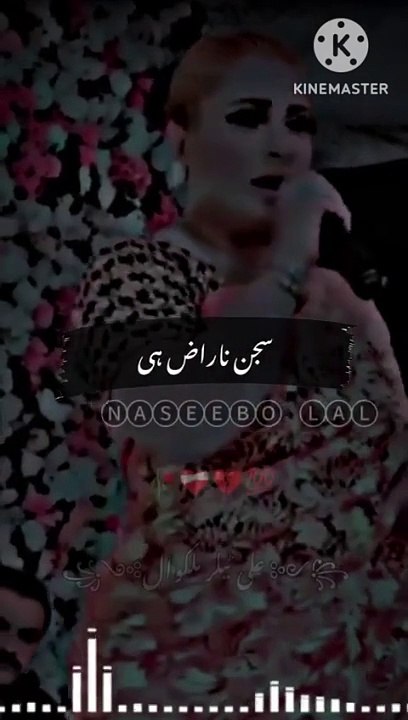 madam-naseebo-lal-dukhi-song-1080-ytshorts.savetube.me