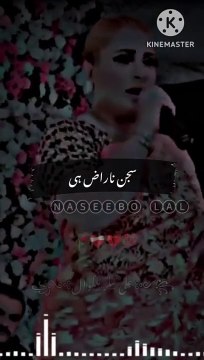 madam-naseebo-lal-dukhi-song-1080-ytshorts.savetube.me