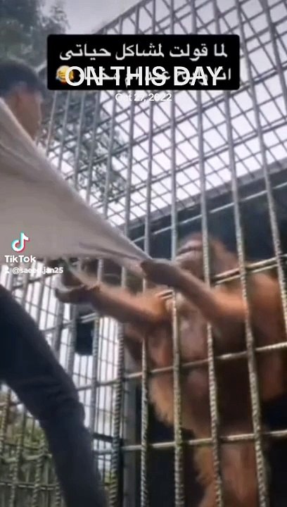 #tektok #CapCut #viral #shorts #mypage#China so sorry