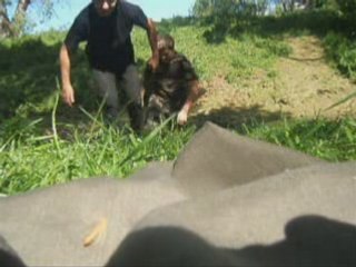 Notre monde à nous 2