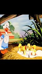 mr@tom and jerry in the water funny cartoon