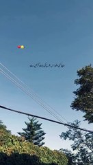 Apny Kae Dfa: A Brief Overview