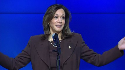 해리스, 흑인 표심잡기 집중 "펜실베이니아가 승리 열쇠" / YTN