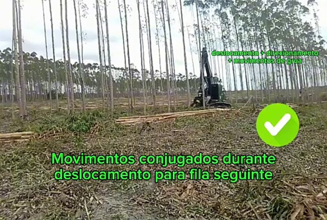 DTO