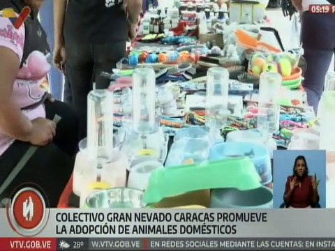 Caracas | Misión nevado promueve la adopción de animales domésticos en Venezuela